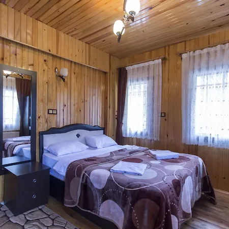 Otel Meric
