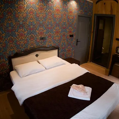 Hotel Meric Uzungol