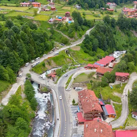 Hotel Meric Uzungol
